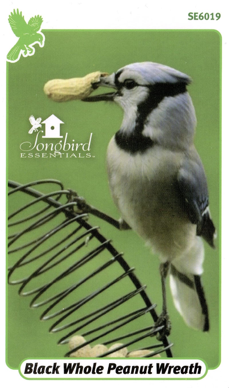 Songbird Essentials Whole Peanut Black Wreath Feeder for Squirrels and Blue Jays - Image 3